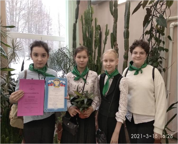 Городской конкурс «Сад на окне»