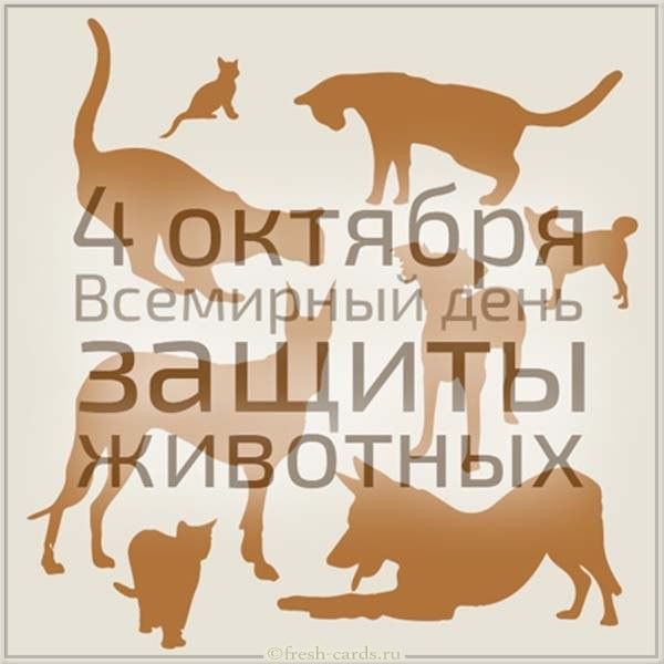 Экологический урок, посвящённый Всемирному дню защиты животных