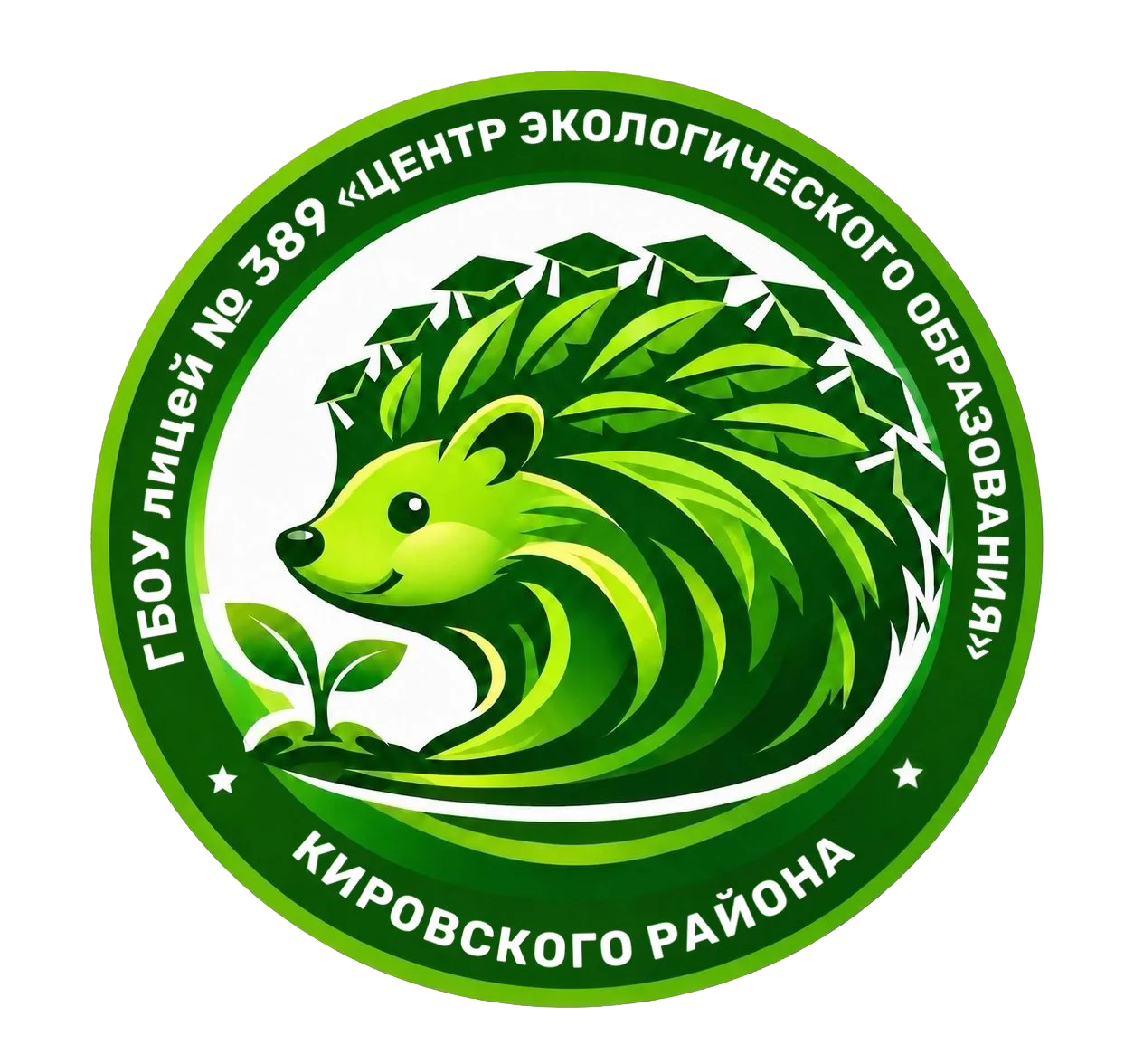 ГБОУ лицей №389 "ЦЭО" Кировского района Санкт-Петербурга